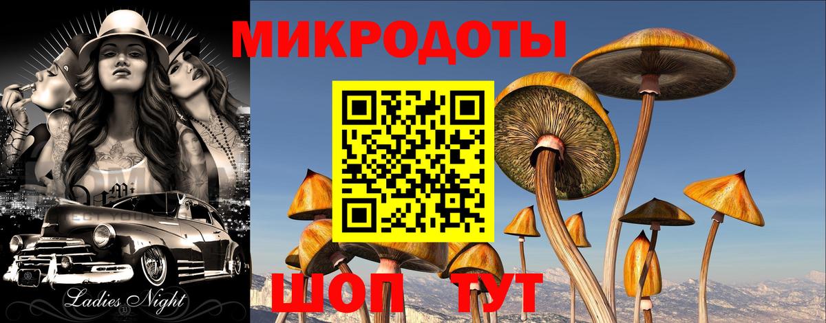Псилоцибиновые грибы GOLDEN TEACHER Елизово
